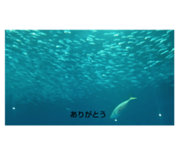 790252931