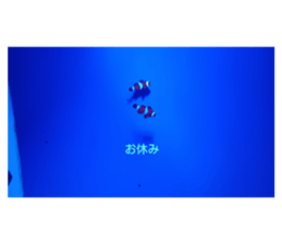 790252933