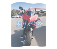 790252945
