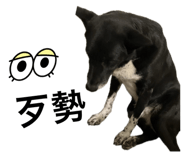 790257555
