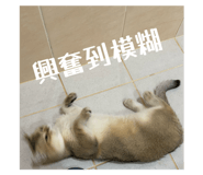 790265261