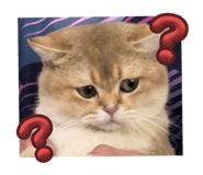 790265265