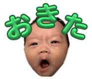 790274940