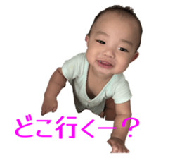 790277775