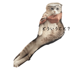 790278941