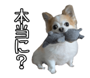 790284889