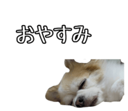 790284891