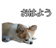790284895