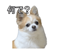 790284896
