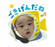 790288037