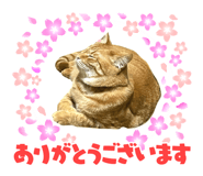 790292197