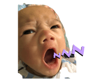 790300330