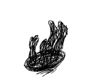 790300829