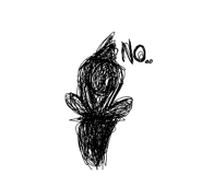 790300832
