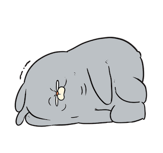 RabbitFam : Bongsor รูปที่ 6