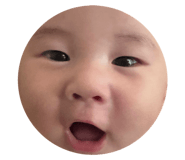 790330444