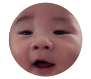 790330445