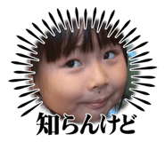 790331948