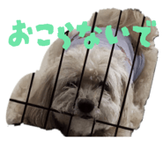 790334300