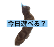 790349069