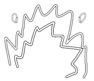 790353271
