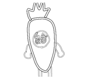 790353272