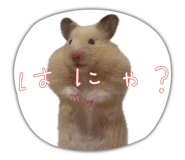 790366731