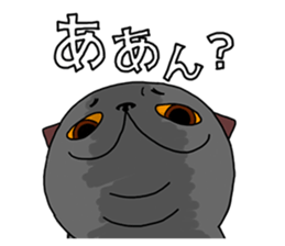 7903676