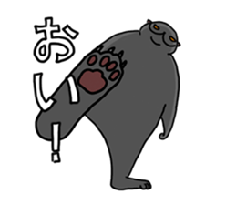 7903677