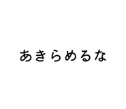 790376033