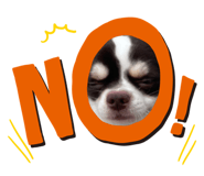 790378508