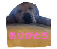 790408652