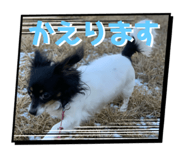 790410813