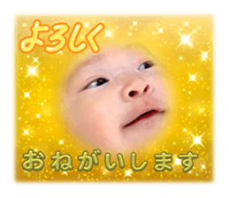 790411205