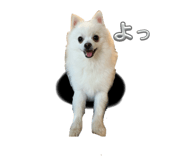 790414988