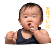 790427717