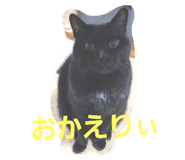 790437033