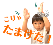 790442212