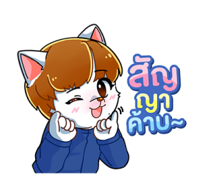 ลายที่ 5