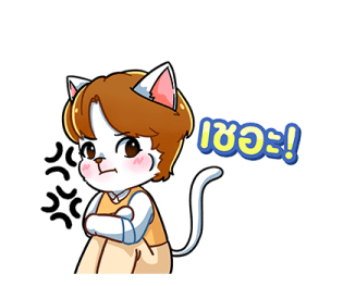 ลายที่ 9