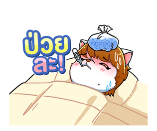 ลายที่ 13