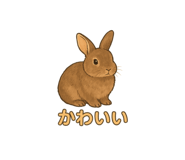 790466245