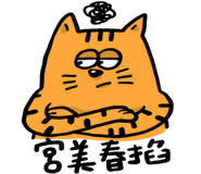790516762