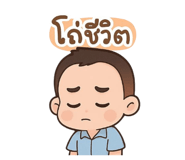790546241