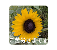 790554282