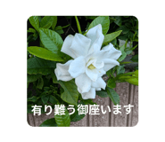 790554285