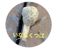790554286