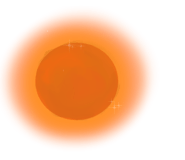 790556345