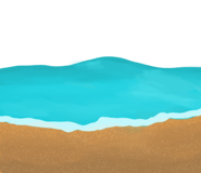 790556384