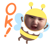 790565534